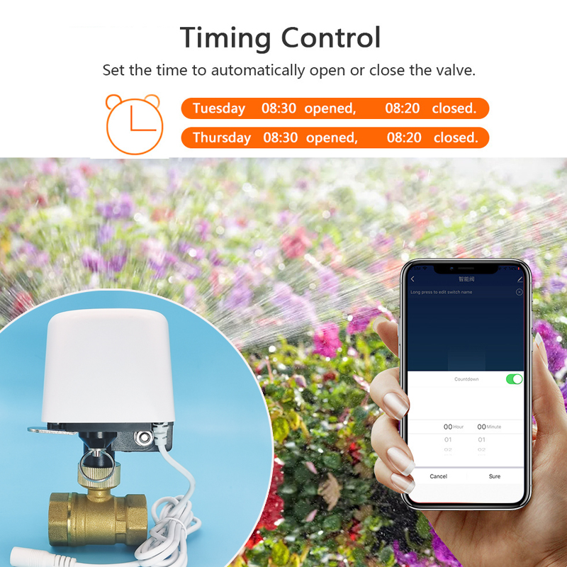 Válvula de Água Tuya Zigbee Wi - Smart Home Wiz avaliação e preço